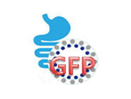 GFP 제품 인증 및 인증서 부여